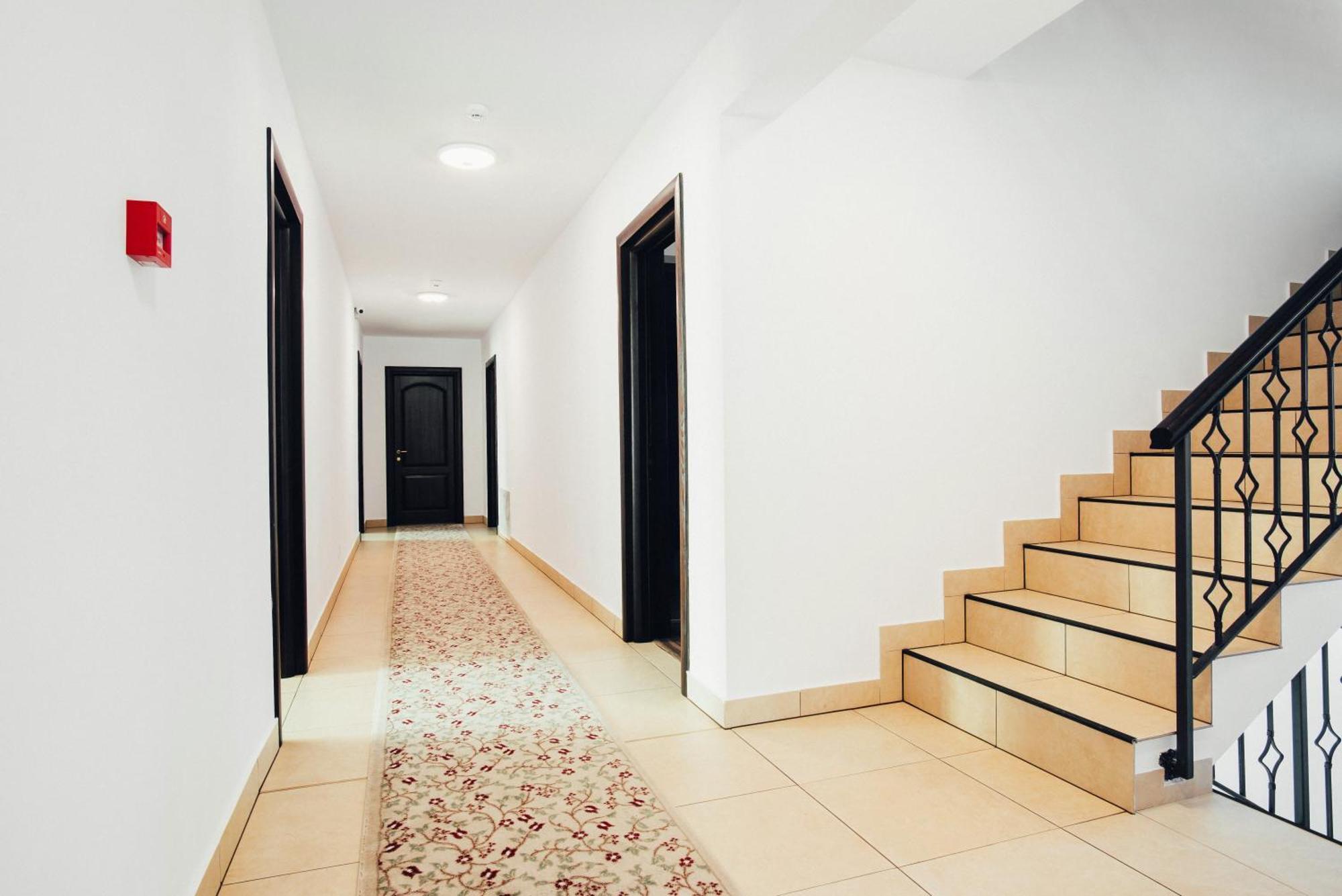 Guest house Casa Bradul
