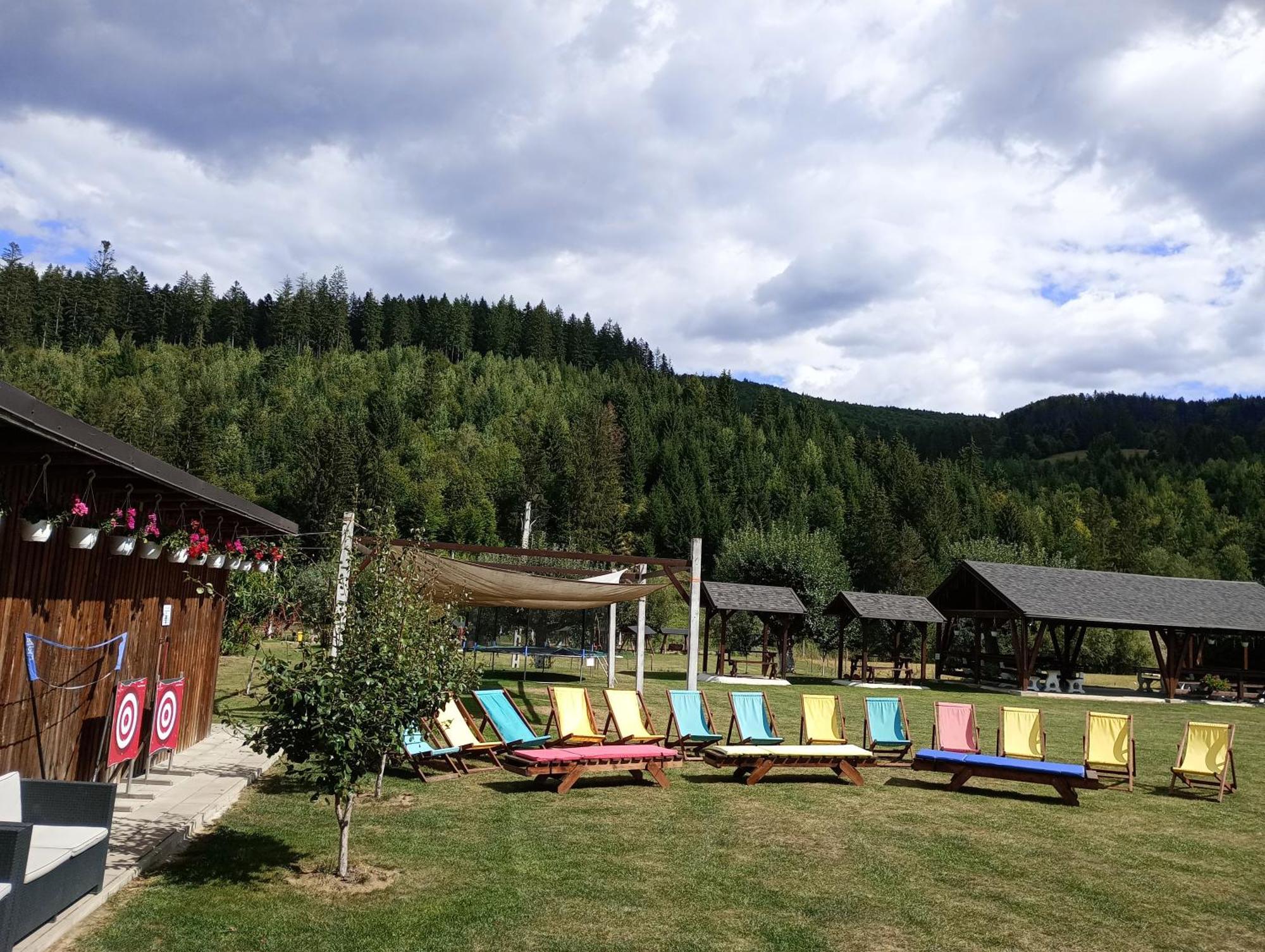 Guest house Casa Bradul 4*